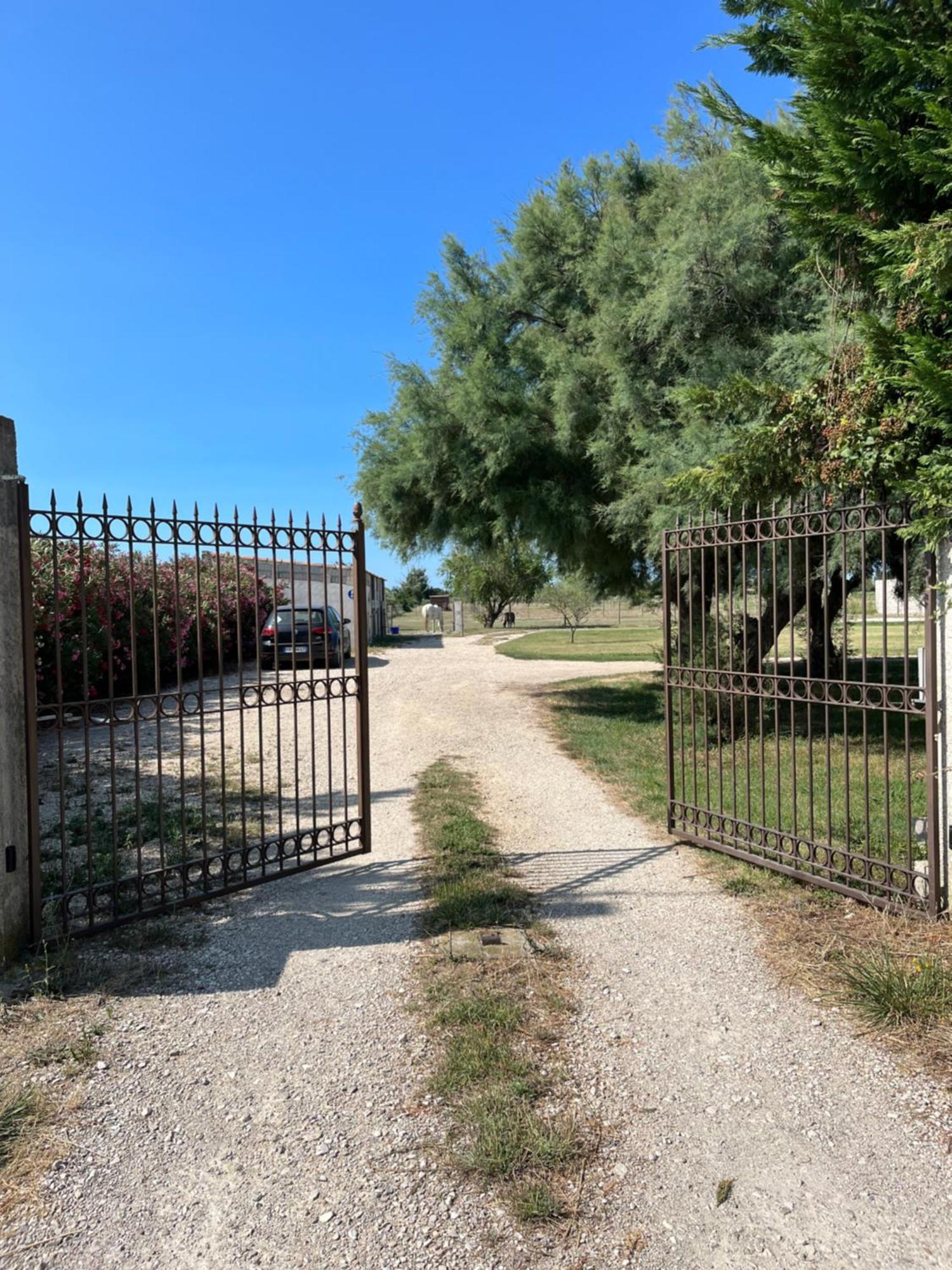 « La Parenthese » Gite En Camargue Арль Экстерьер фото